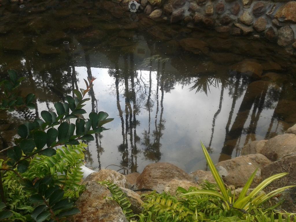 Happy Nest Yercaud Exterior foto